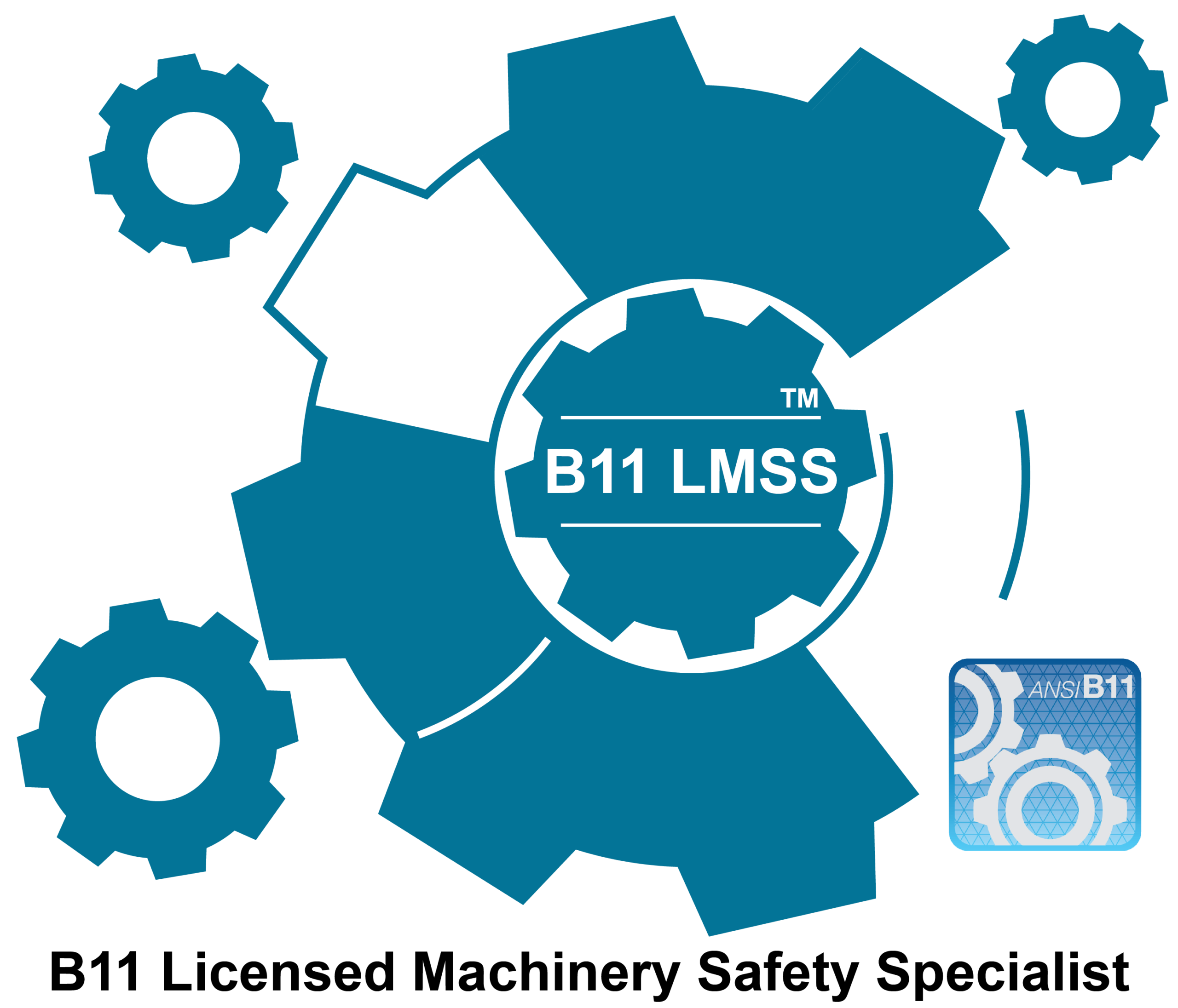 B11 LMSS